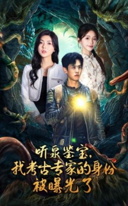 短剧《听泉鉴宝，我考古专家的身份被曝光了（62集全）》完整版高清免费观看  第1张