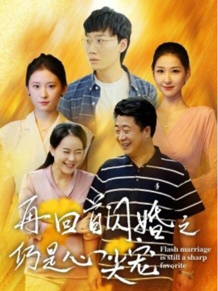 短剧《再回首闪婚之仍是心尖宠（36集全）》完整版高清免费观看  第1张