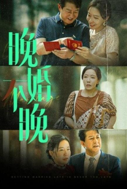 短剧《晚婚不晚（1-30集）》夸克网盘资源免费观看  第1张