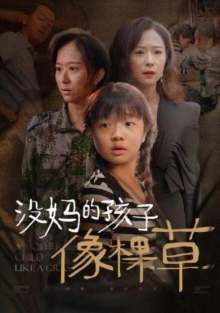 短剧《没妈的孩子像棵草（50集全）》完整版高清免费观看  第1张