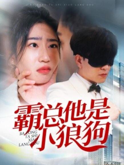 短剧《霸总他是小狼狗（31集全）》完整版高清免费观看  第1张
