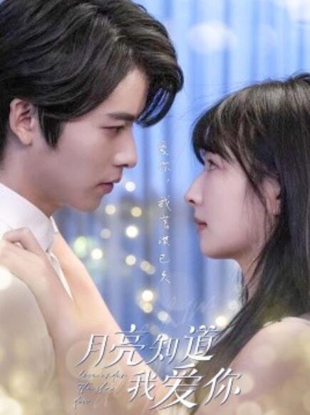 短剧《月亮知道我爱你（62集全）》完整版高清免费观看  第1张