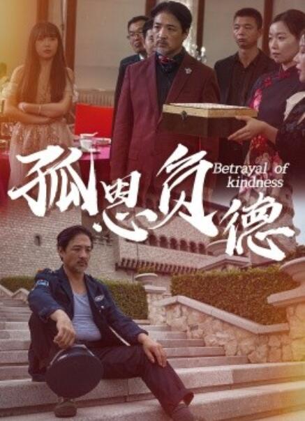 短剧《孤恩负德（60集全）》完整版高清免费观看  第1张