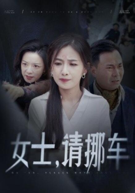 短剧《女士，请挪车（善门难开）29集全》完整版高清免费观看  第1张