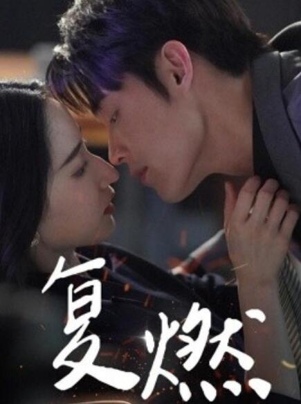短剧《复燃（68集全）》完整版高清免费观看  第1张