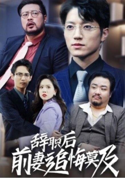 短剧《辞职后前妻追悔莫及（30集全）》完整版高清免费观看  第1张