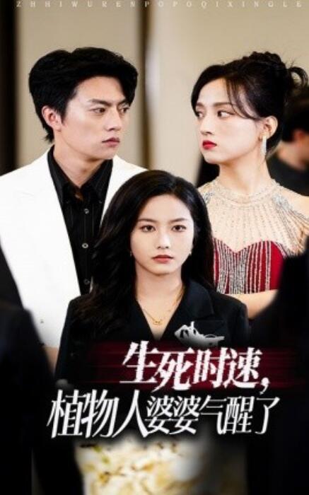 短剧《生死时速，植物人婆婆气醒了（37集全）》完整版高清免费观看  第1张