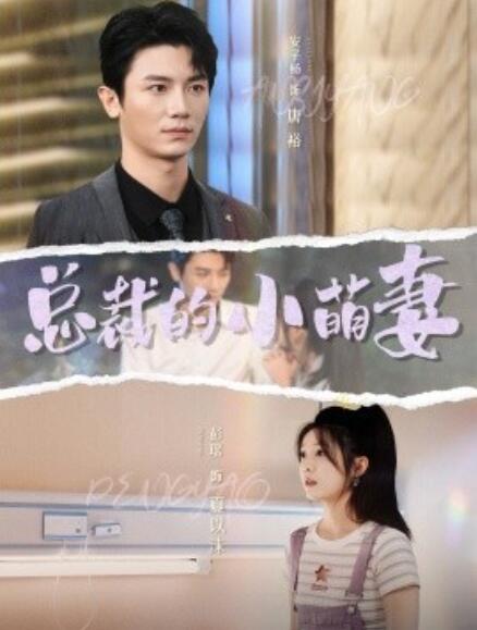 短剧《总裁的小萌妻（89集全）》完整版高清免费观看  第1张
