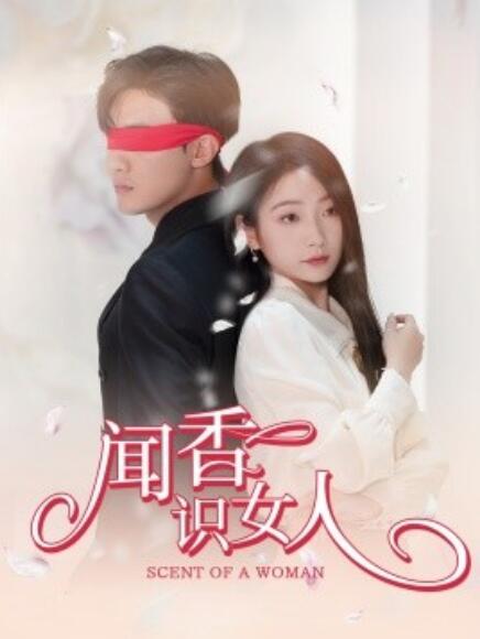 短剧《闻香识女人（58集全）》完整版高清免费观看  第1张