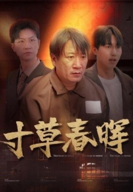 短剧《寸草春晖（1-31集）》夸克网盘资源免费观看  第1张