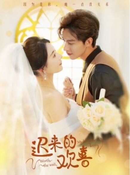 短剧《迟来的欢喜（1-81集）》夸克网盘资源免费观看  第1张