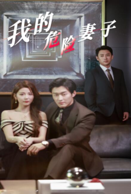 短剧《我的危险妻子（1-30集）》夸克网盘资源免费观看  第1张