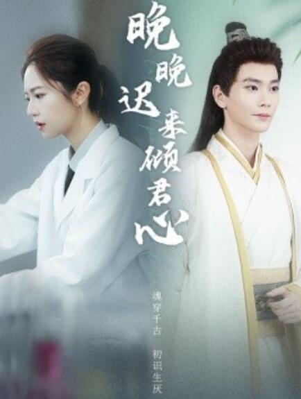 短剧《晚晚迟来倾君心（1-83集）》夸克网盘资源免费观看  第1张