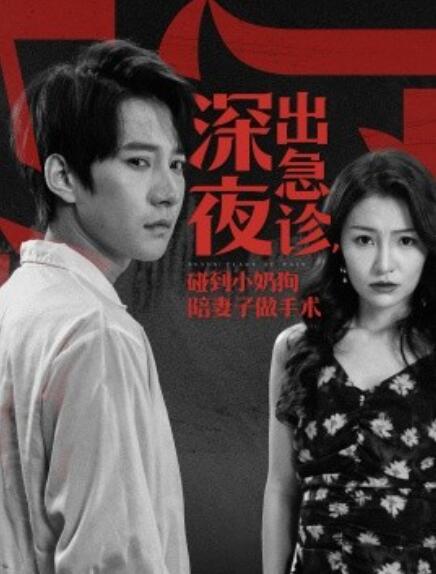 短剧《深夜出急诊，碰到小奶狗陪妻子做手术（1-50集）》夸克网盘资源免费观看  第1张