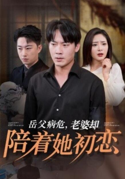 短剧《岳父病危，老婆却陪着她初恋（1-31集）》夸克网盘资源免费观看  第1张