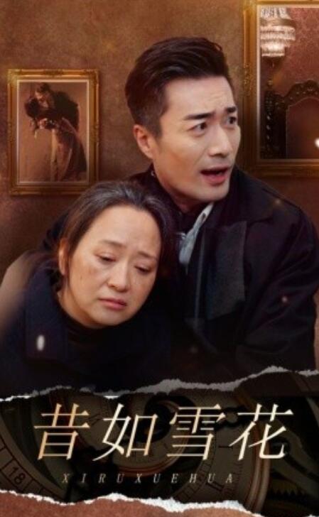短剧《昔如雪花（1-30集）》夸克网盘资源免费观看  第1张