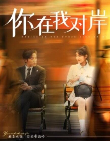 短剧《你在我对岸（1-31集）》夸克网盘资源免费观看  第1张