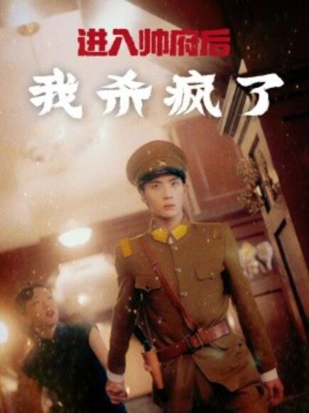 短剧《进入帅府后我杀疯了（1-83集）》夸克网盘资源免费观看  第1张