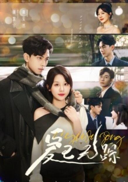短剧《爱已无踪（1-35集）》夸克网盘资源免费观看  第1张