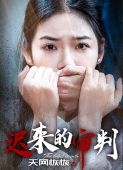 短剧《天网恢恢之迟来的审判（1-31集）李艺璇》夸克网盘资源免费观看  第1张
