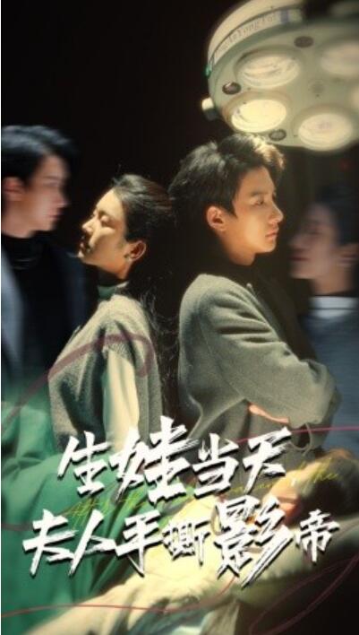 短剧《生娃当天夫人手撕影帝（1-62集）卢C鹿鹿&----白羽》夸克网盘资源免费观看  第1张
