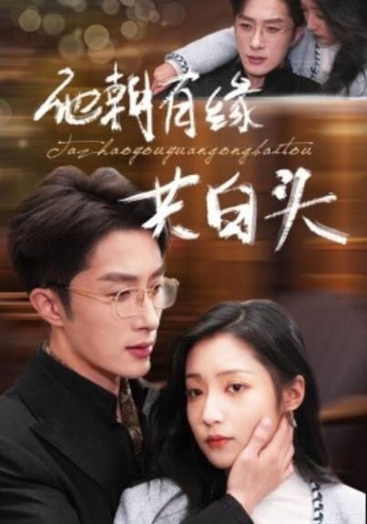 短剧《他朝有缘共白头（1-63集）叶庭＆阚梓艺》夸克网盘资源免费观看  第1张