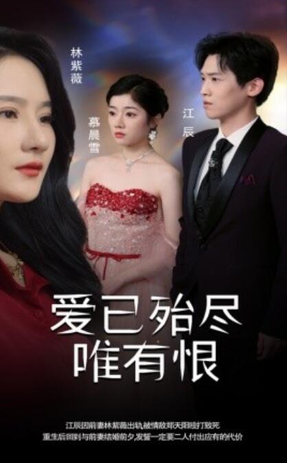 短剧《爱已殆尽唯有恨（1-61集）》夸克网盘资源免费观看  第1张