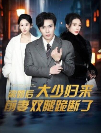 短剧《离婚后，大少归来前妻双腿跪断了（1-67集）》夸克网盘资源免费观看  第1张