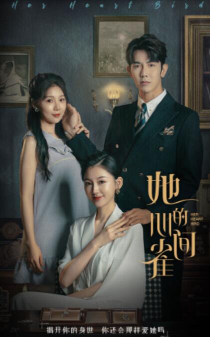 短剧《她的心间雀（30集全）马星烁》完整版高清免费观看  第1张