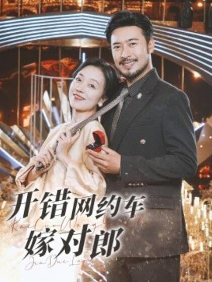短剧《开错网约车嫁对郎（1-30集）》夸克网盘资源免费观看  第1张