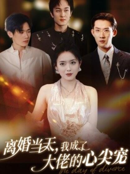 短剧《离婚当天，我成了大佬的心尖宠（60集全）韩一思＆彭娜莎》夸克网盘资源免费观看  第1张