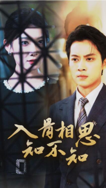 短剧《入骨相思知不知（1-66集）》夸克网盘资源免费观看  第1张