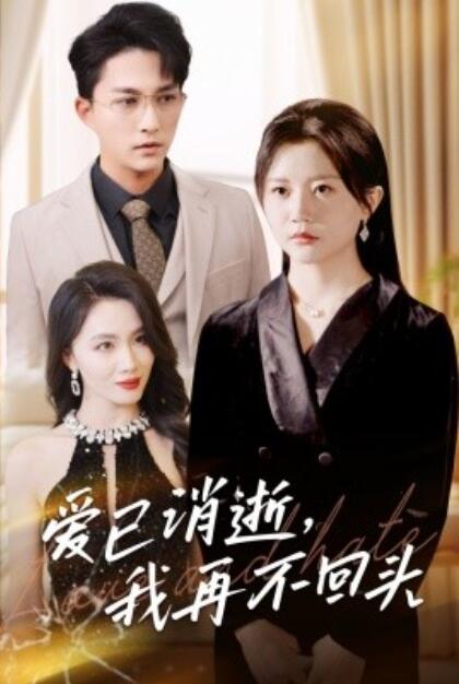 短剧《爱已消逝，我再不回头（31集全）李家圆子》完整版高清免费观看  第1张