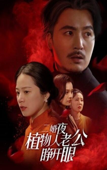 短剧《二婚夜植物人老公睁开眼（1-78集）》夸克网盘资源免费观看  第1张