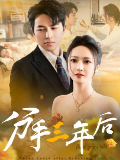 短剧《分手三年后（43集全）吴昊&----胡冬晴》完整版高清免费观看  第1张