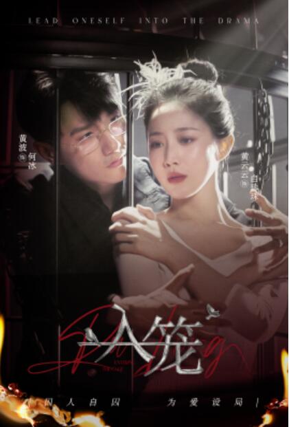 短剧《入笼（50集全）黄波&----黄云云》完整版高清免费观看  第1张