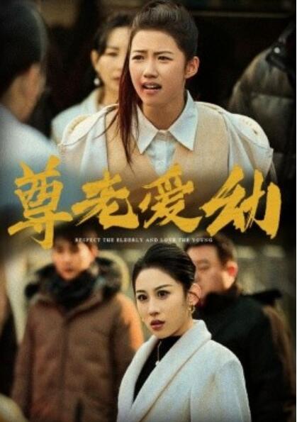 短剧《尊老爱幼（48集全）丁磊》完整版高清免费观看  第1张