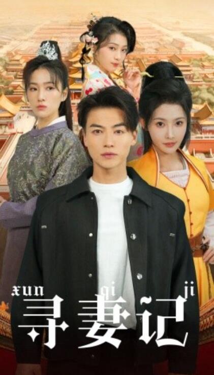 短剧《寻妻记（52集全）都钊＆秦天爱》完整版高清免费观看  第1张