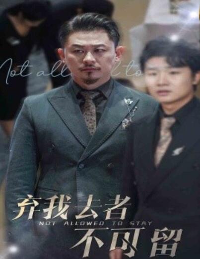 短剧《弃我去者不可留（生命，它璀璨如歌）60集全》完整版高清免费观看  第1张