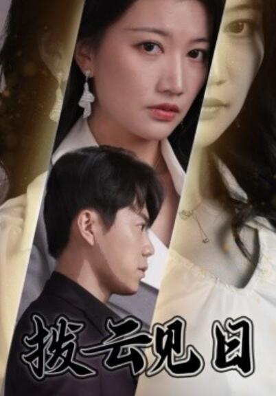 短剧《拨云见日（1-30集）》夸克网盘资源免费观看  第1张