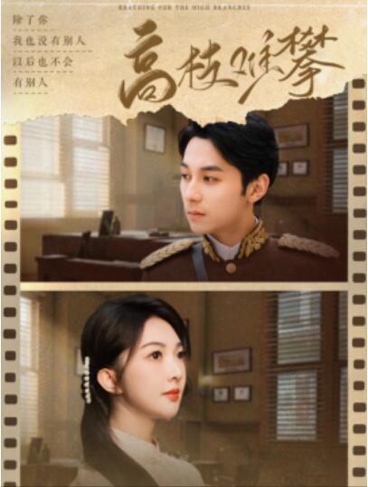 短剧《高枝难攀（80集全）张屹杨＆丁果》完整版高清免费观看  第1张