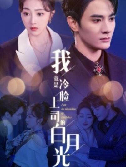 短剧《我竟是冷脸上司的白月光（80集全）陈冠峄＆海依凡》完整版高清免费观看  第1张