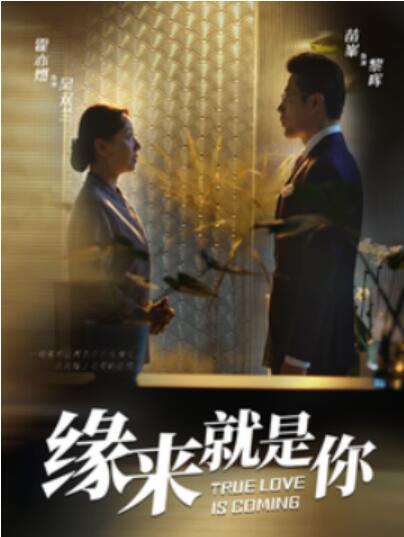 短剧《缘来就是你（1-64集）》夸克网盘资源免费观看  第1张