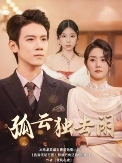 短剧《孤云独去闲（1-60集）》夸克网盘资源免费观看  第1张
