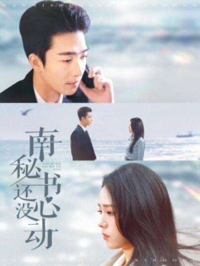 短剧《南秘书还没心动（92集全）姚冠宇＆翟成露》完整版高清免费观看  第1张