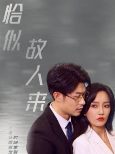 短剧《恰似故人来（79集全）郭美林子》完整版高清免费观看  第1张