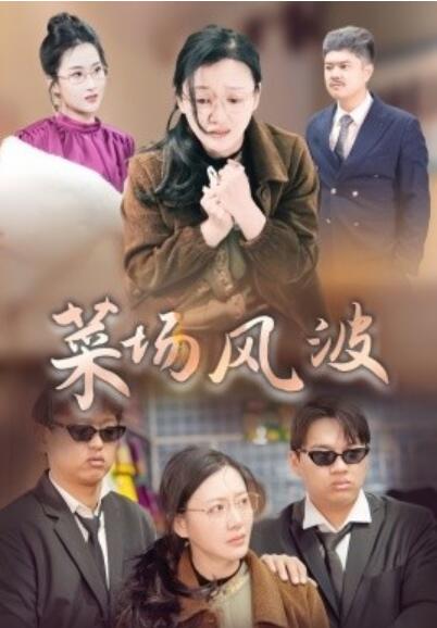 短剧《菜场风波（1-35集）》夸克网盘资源免费观看  第1张