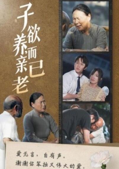 短剧《子欲养，而亲已老（1-58集）》夸克网盘资源免费观看  第1张