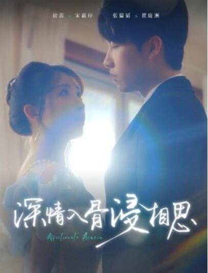 短剧《深情入骨浸相思（101集全）房蕾》完整版高清免费观看  第1张