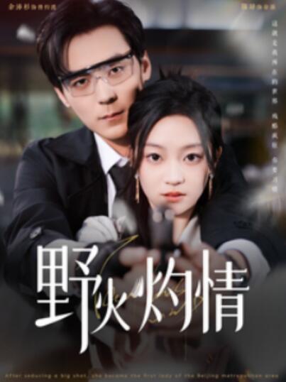 短剧《野火灼情（100集全）余沛杉＆陈辞》完整版高清免费观看  第1张